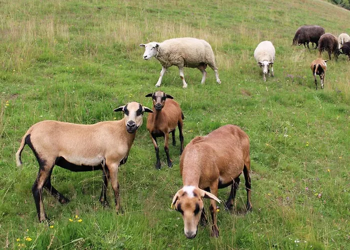 Pensjonat Gaestehaus Hobelleitner 3*