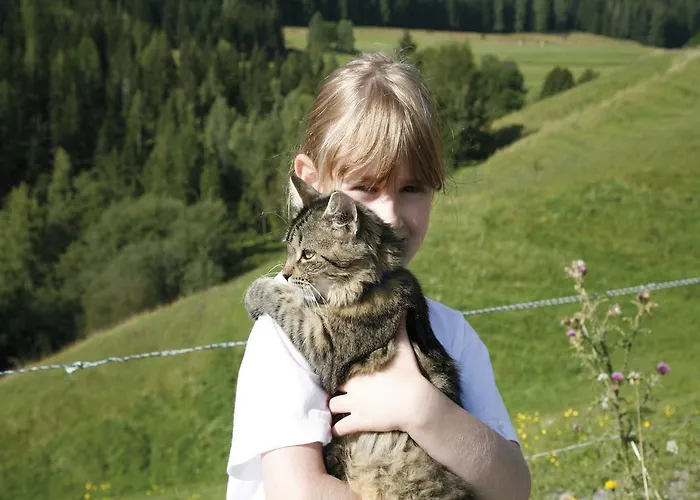 Gaestehaus Hobelleitner Sankt Blasen